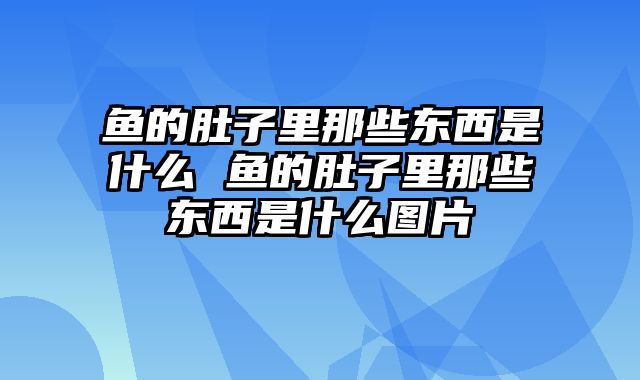 鱼的肚子里那些东西是什么 鱼的肚子里那些东西是什么图片