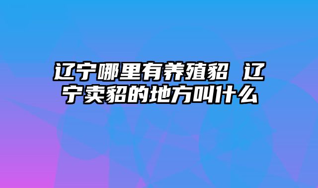 辽宁哪里有养殖貂 辽宁卖貂的地方叫什么