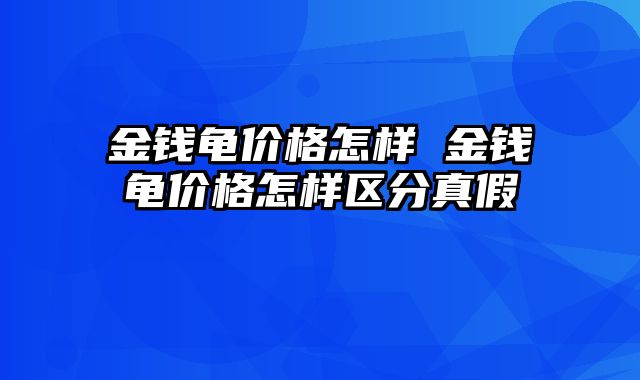 金钱龟价格怎样 金钱龟价格怎样区分真假