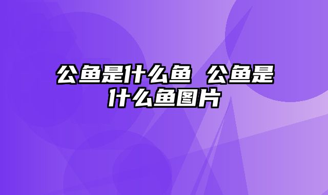 公鱼是什么鱼 公鱼是什么鱼图片