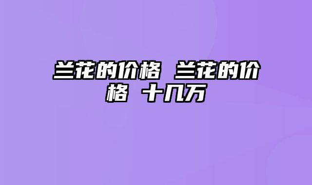 兰花的价格 兰花的价格 十几万