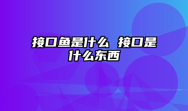 接口鱼是什么 接口是什么东西