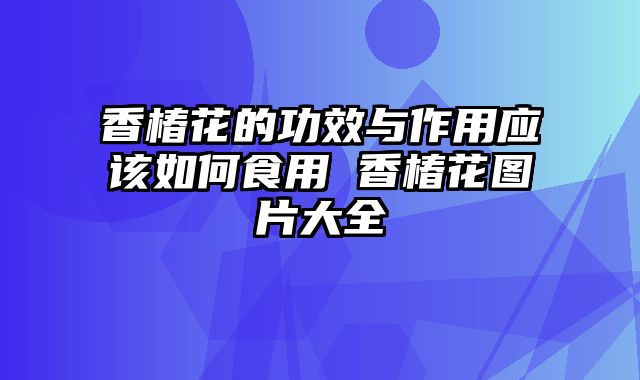 香椿花的功效与作用应该如何食用 香椿花图片大全