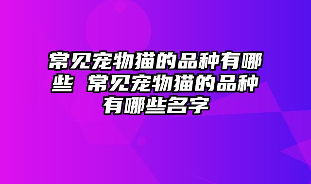 常见宠物猫的品种有哪些 常见宠物猫的品种有哪些名字