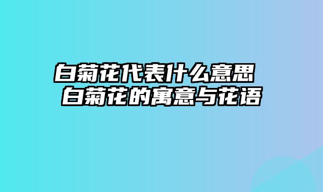 白菊花代表什么意思 白菊花的寓意与花语