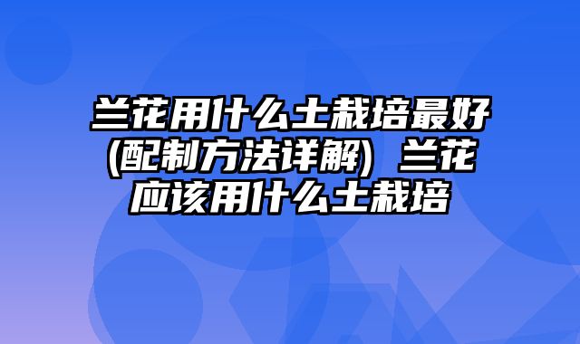 兰花用什么土栽培最好(配制方法详解) 兰花应该用什么土栽培