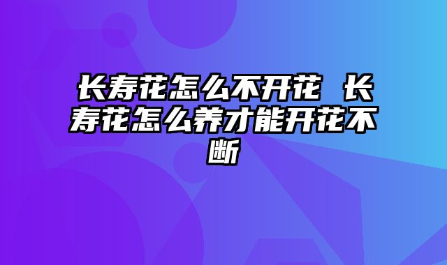 长寿花怎么不开花 长寿花怎么养才能开花不断