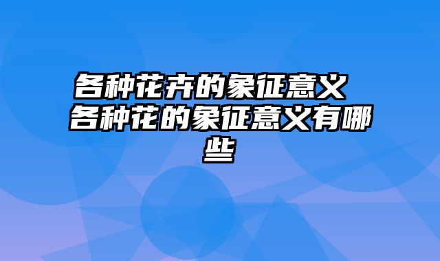 各种花卉的象征意义 各种花的象征意义有哪些