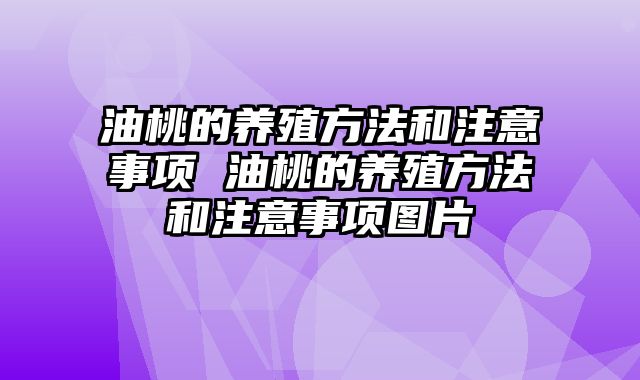 油桃的养殖方法和注意事项 油桃的养殖方法和注意事项图片