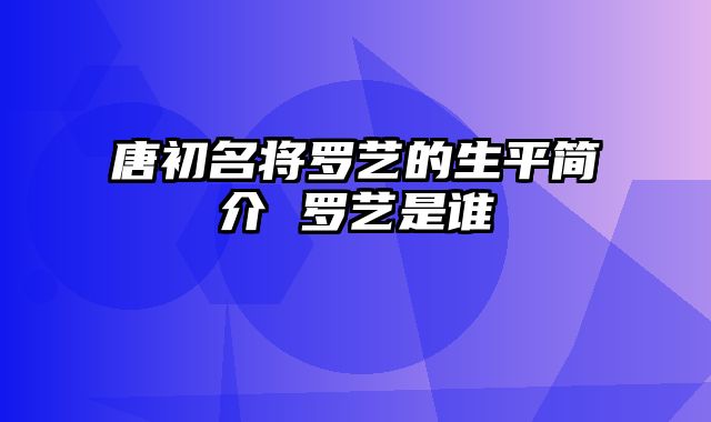 唐初名将罗艺的生平简介 罗艺是谁