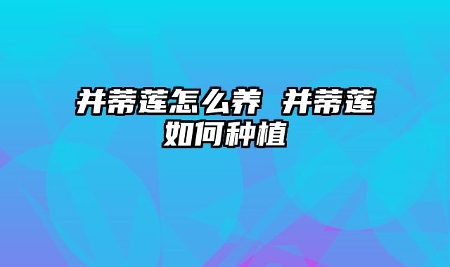 并蒂莲怎么养 并蒂莲如何种植