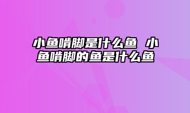 小鱼啃脚是什么鱼 小鱼啃脚的鱼是什么鱼