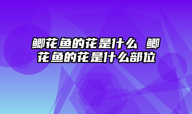 鲫花鱼的花是什么 鲫花鱼的花是什么部位