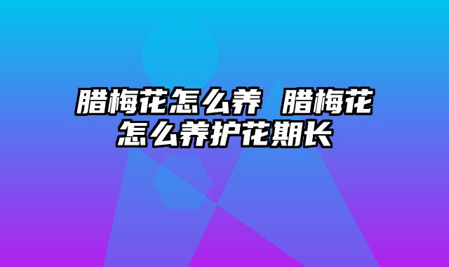 腊梅花怎么养 腊梅花怎么养护花期长