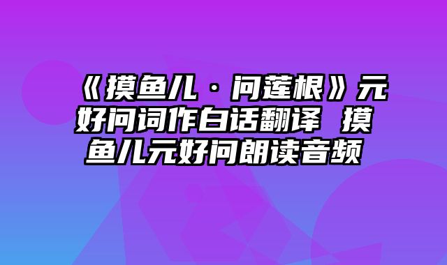 《摸鱼儿·问莲根》元好问词作白话翻译 摸鱼儿元好问朗读音频