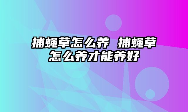 捕蝇草怎么养 捕蝇草怎么养才能养好