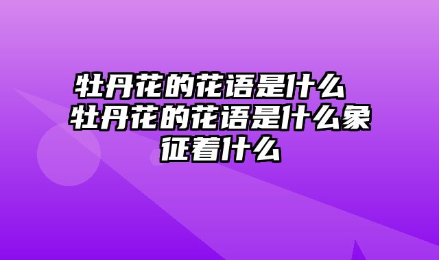 牡丹花的花语是什么 牡丹花的花语是什么象征着什么