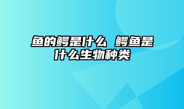 鱼的鳄是什么 鳄鱼是什么生物种类