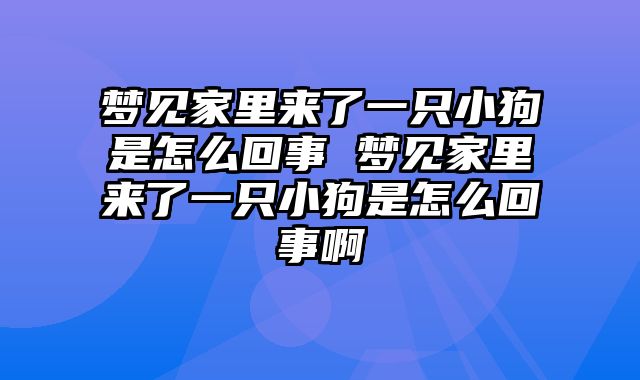 梦见家里来了一只小狗是怎么回事 梦见家里来了一只小狗是怎么回事啊