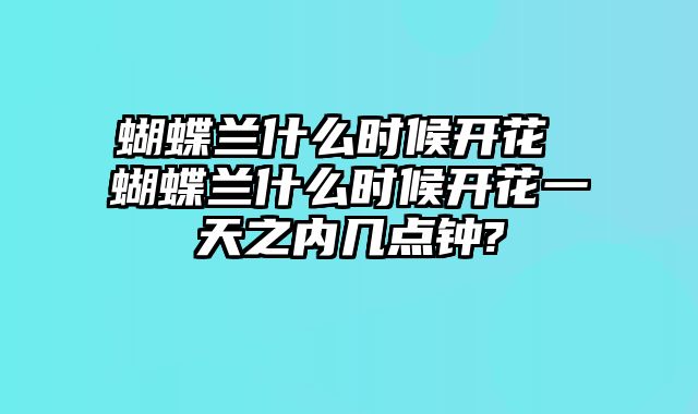 蝴蝶兰什么时候开花 蝴蝶兰什么时候开花一天之内几点钟?