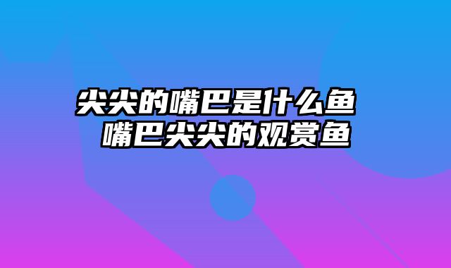 尖尖的嘴巴是什么鱼 嘴巴尖尖的观赏鱼