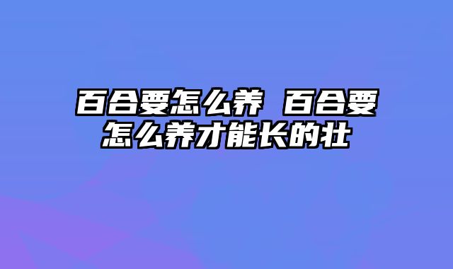 百合要怎么养 百合要怎么养才能长的壮