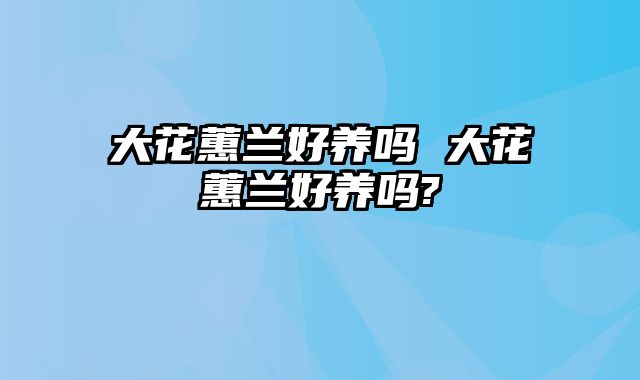 大花蕙兰好养吗 大花蕙兰好养吗?