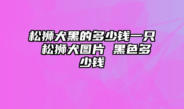 松狮犬黑的多少钱一只 松狮犬图片 黑色多少钱