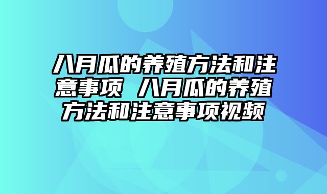 八月瓜的养殖方法和注意事项 八月瓜的养殖方法和注意事项视频