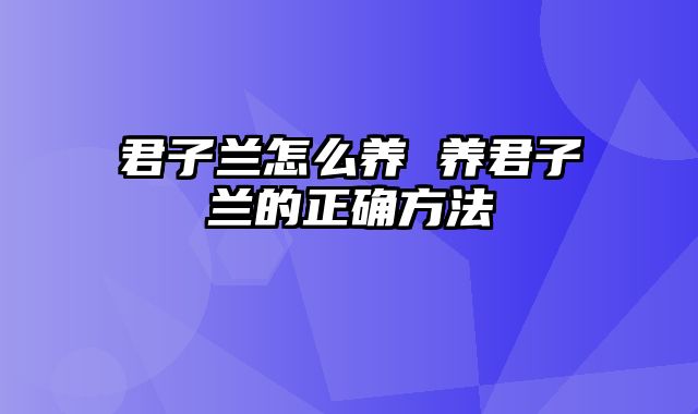 君子兰怎么养 养君子兰的正确方法