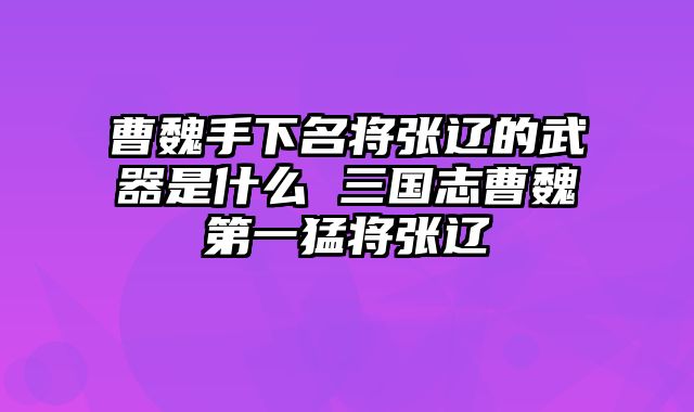 曹魏手下名将张辽的武器是什么 三国志曹魏第一猛将张辽