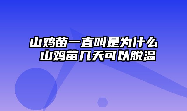 山鸡苗一直叫是为什么 山鸡苗几天可以脱温