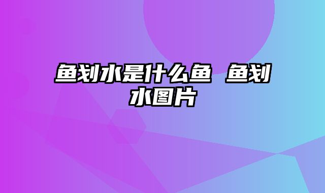 鱼划水是什么鱼 鱼划水图片