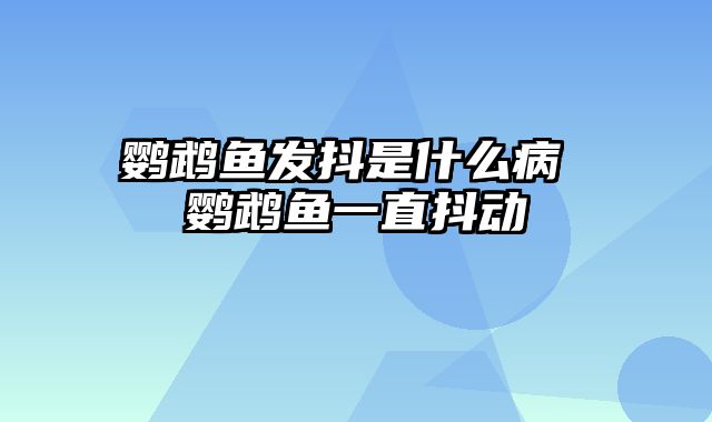 鹦鹉鱼发抖是什么病 鹦鹉鱼一直抖动