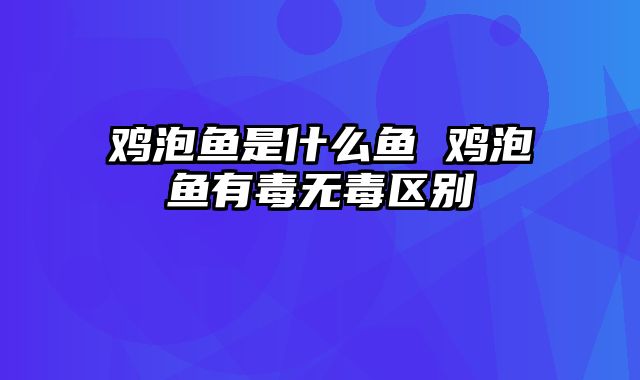 鸡泡鱼是什么鱼 鸡泡鱼有毒无毒区别