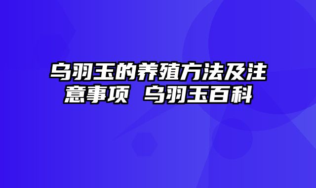 乌羽玉的养殖方法及注意事项 乌羽玉百科