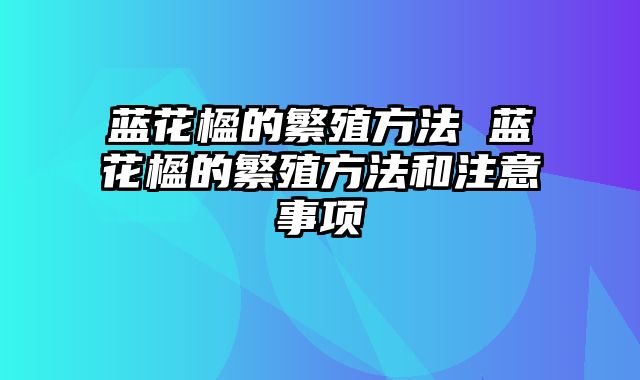 蓝花楹的繁殖方法 蓝花楹的繁殖方法和注意事项