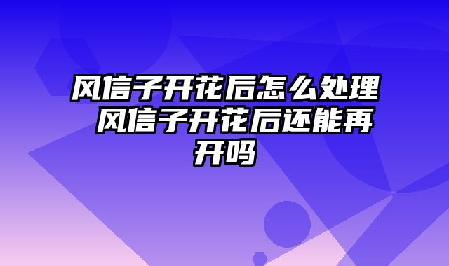 风信子开花后怎么处理 风信子开花后还能再开吗