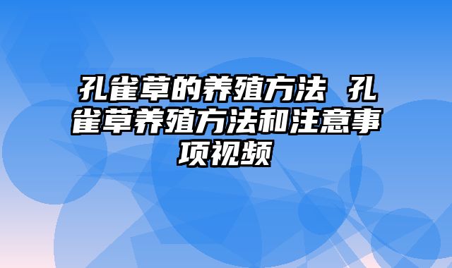 孔雀草的养殖方法 孔雀草养殖方法和注意事项视频