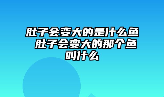 肚子会变大的是什么鱼 肚子会变大的那个鱼叫什么