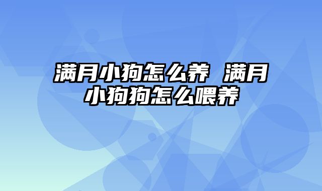 满月小狗怎么养 满月小狗狗怎么喂养