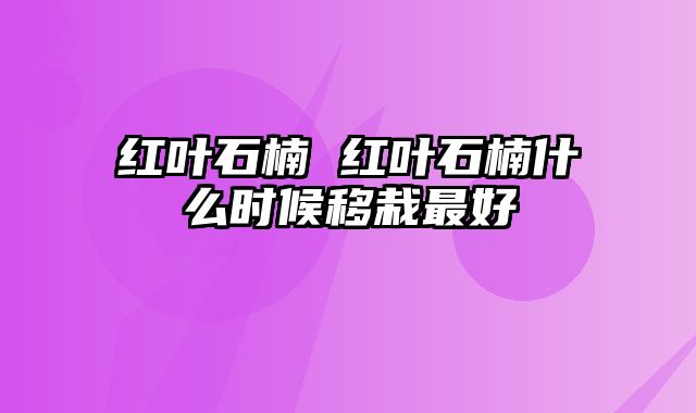 红叶石楠 红叶石楠什么时候移栽最好