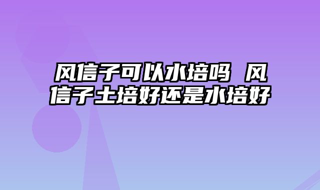 风信子可以水培吗 风信子土培好还是水培好