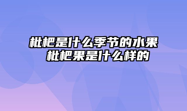 枇杷是什么季节的水果 枇杷果是什么样的