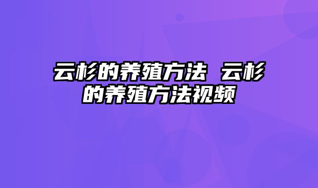 云杉的养殖方法 云杉的养殖方法视频