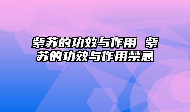 紫苏的功效与作用 紫苏的功效与作用禁忌