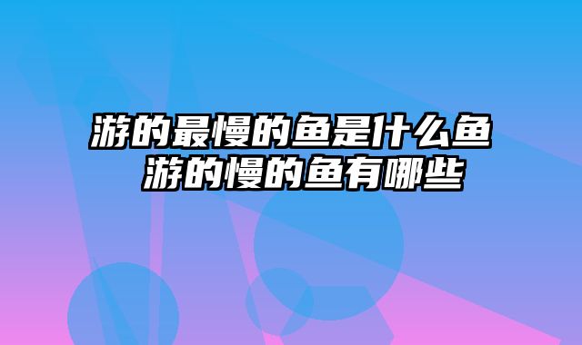 游的最慢的鱼是什么鱼 游的慢的鱼有哪些