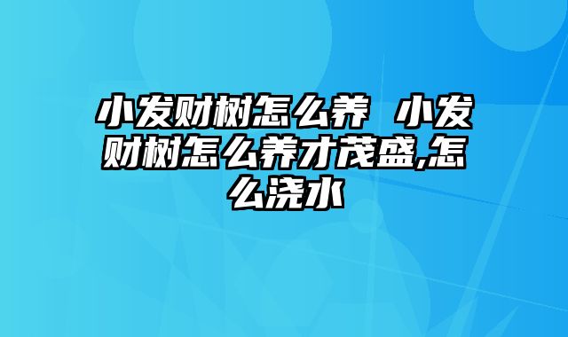 小发财树怎么养 小发财树怎么养才茂盛,怎么浇水