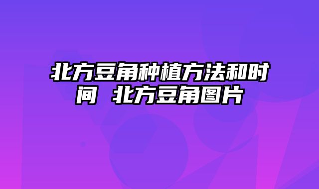 北方豆角种植方法和时间 北方豆角图片