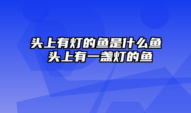 头上有灯的鱼是什么鱼 头上有一盏灯的鱼